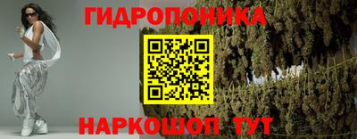 индика Кулебаки