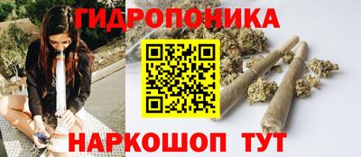 индика Кулебаки