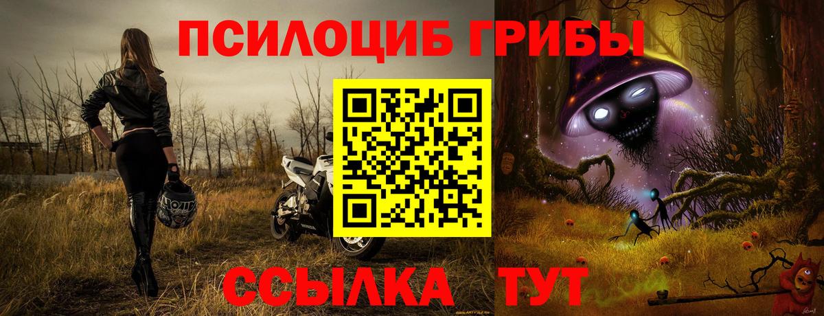 Галлюциногенные грибы ЛСД Заводоуковск