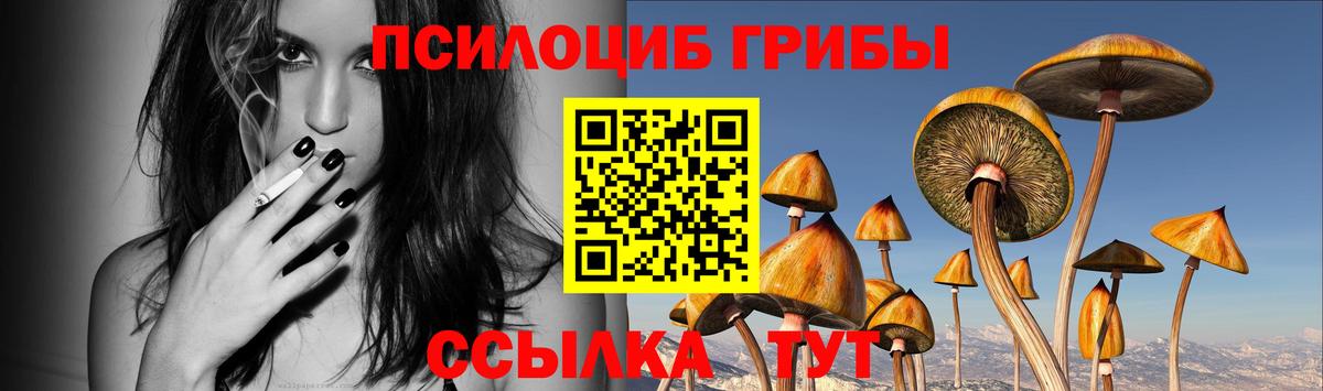 Псилоцибиновые грибы Psilocybine cubensis  Вход с VPN  Галлюциногенные грибы мицелий  Заводоуковск 