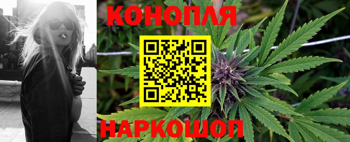 Шишки марихуана семена  Бошки марихуана White Widow  Заводоуковск  Вход с VPN  Конопля семена 